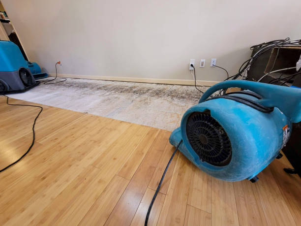 Professional Structural Drying technician working in Occoquan, VA